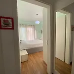 Valeur Penthouse Center 公寓