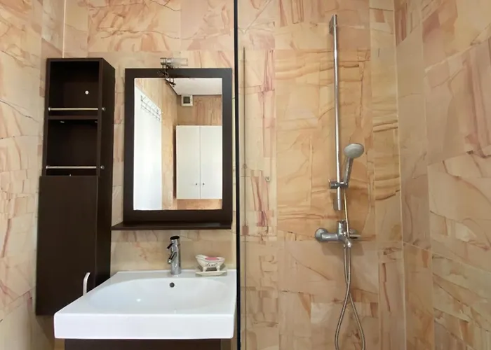 Valeur Penthouse Center 公寓 地拉那